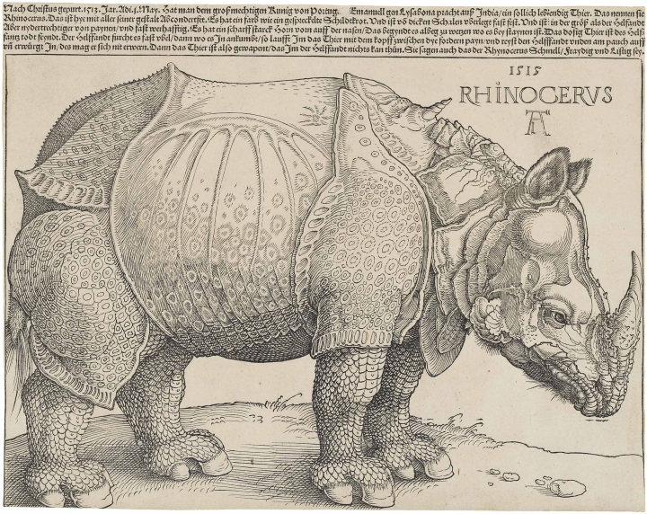 Dürer's_Rhinoceros,_1515